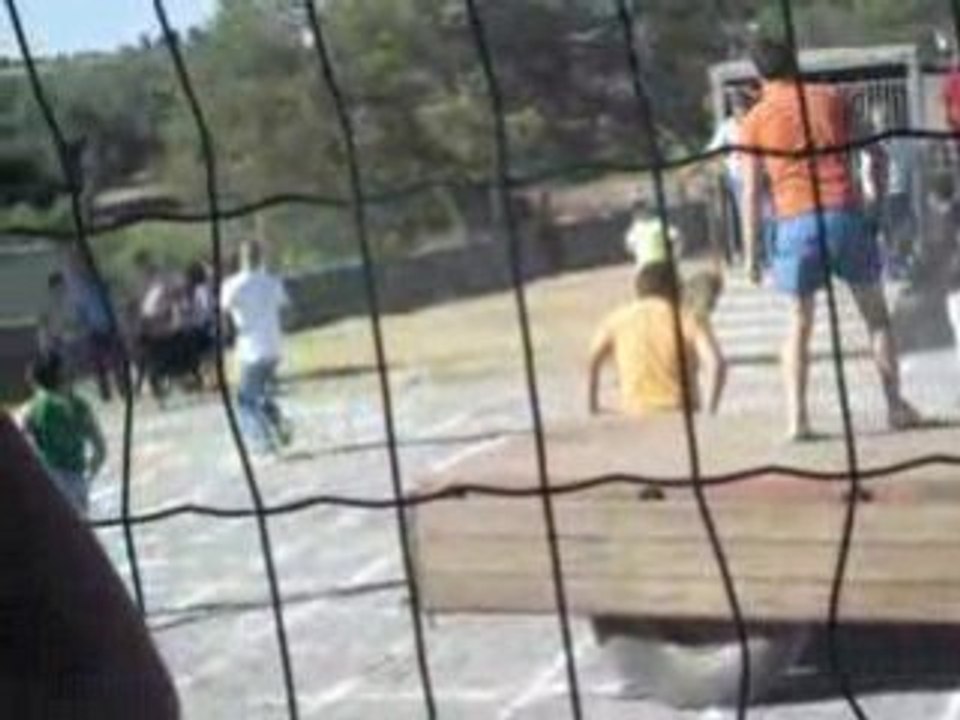 08.08.09 santulhao as vacas