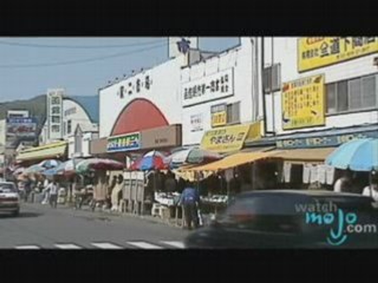 Travel Guide - Japan
