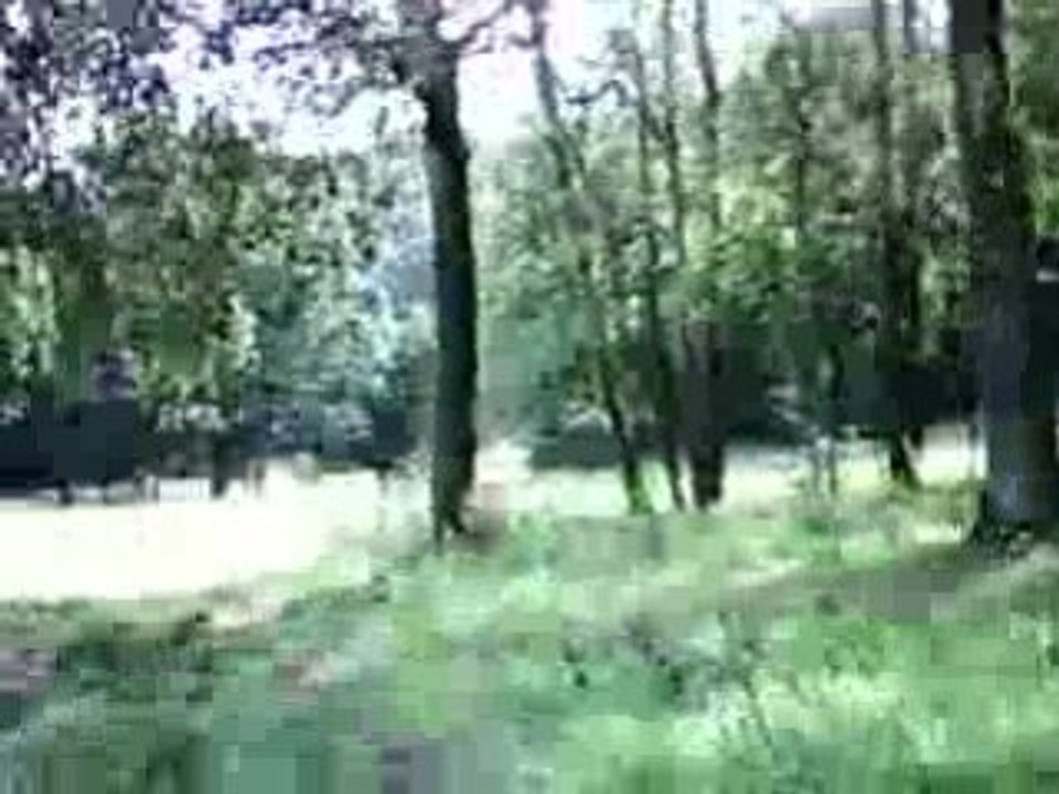 VTT limite hors piste