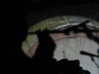 CELTIVAL SONERIEN DU SENONES 2008