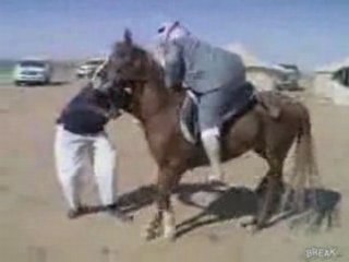 Why fat arabs dont ride horses