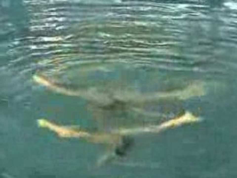 Duo 2 d'Angers Natation Synchronisee N1 junior 2008