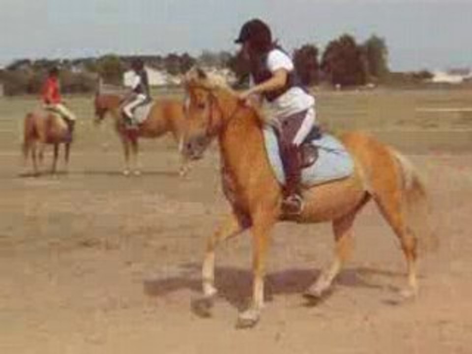 Relaii