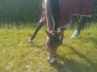 Kandjar et T'choupy . . .