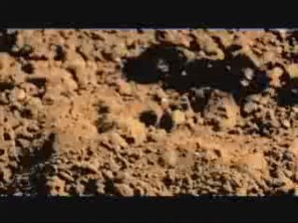 Dj Muggs & Planet Asia  : Pain Language (new)