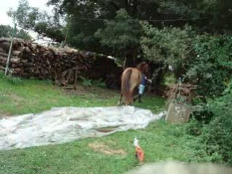 CHARLY SUR LA BACHE