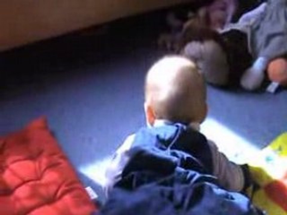 Cascade de puce mai 2008