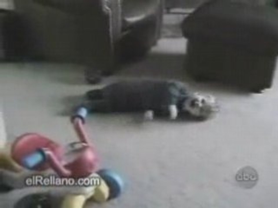 humour  : Futur footballeur italien................