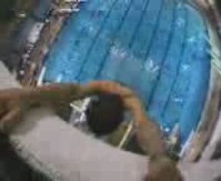 Jackass-Plongeons hallucinants