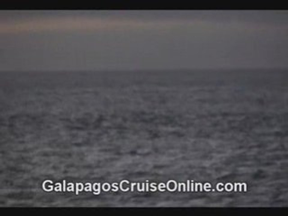 Galapagos Islands Tours Video -Sunset