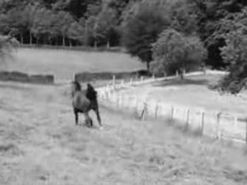 mon Gagast ...<3