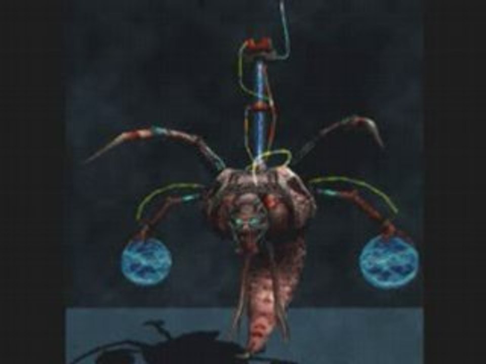 SS: SE - Larve Exotech