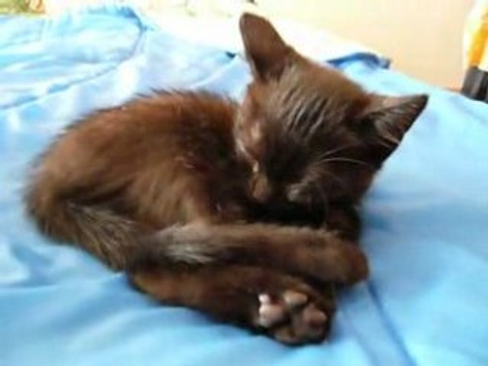 ELIOT, 2 mois  est arrivé hier soir