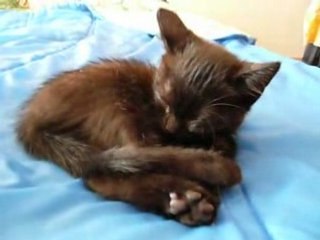 ELIOT, 2 mois  est arrivé hier soir