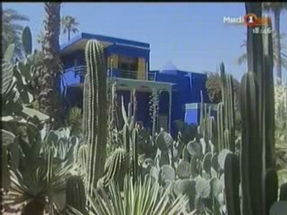 Le jardin Majorelle espace de sérénité au cœur Marrakech