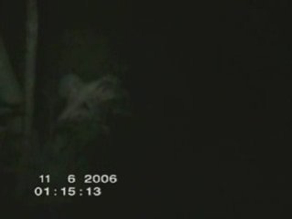 Ghost