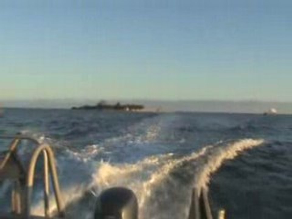 île aux canards