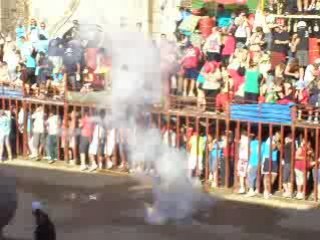 taureau     2008 losar de la vera