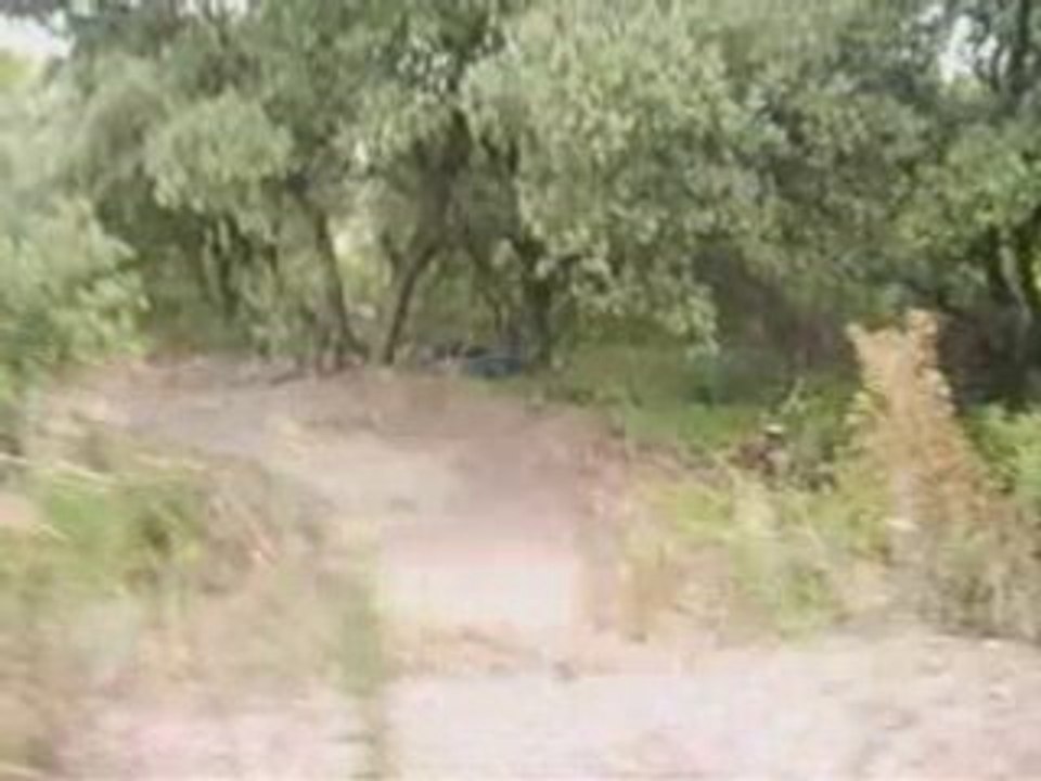 Spot dirt?