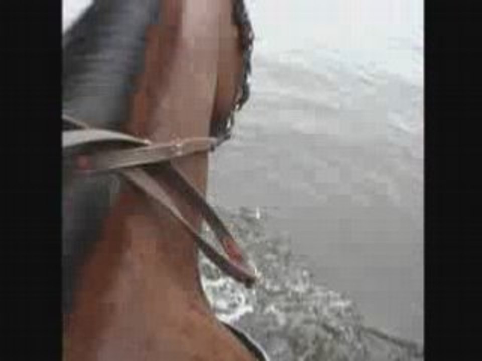Opi dans l'eau