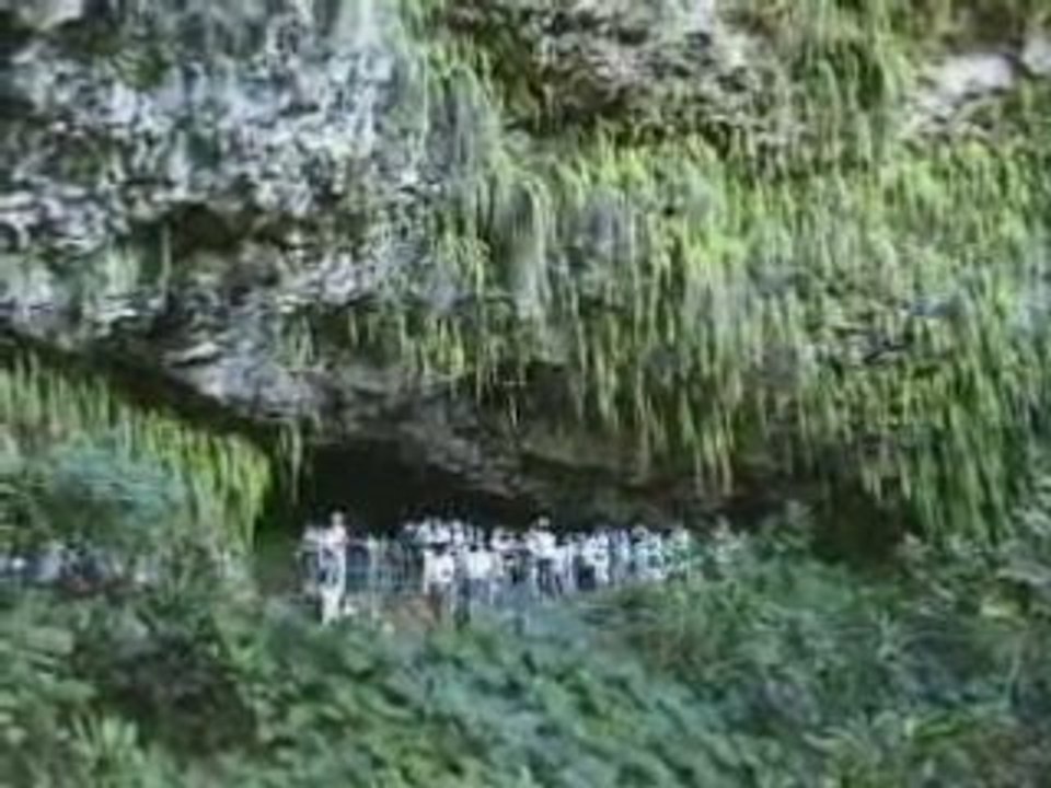 Fern Grotto, Island of Kauai, Hawaii