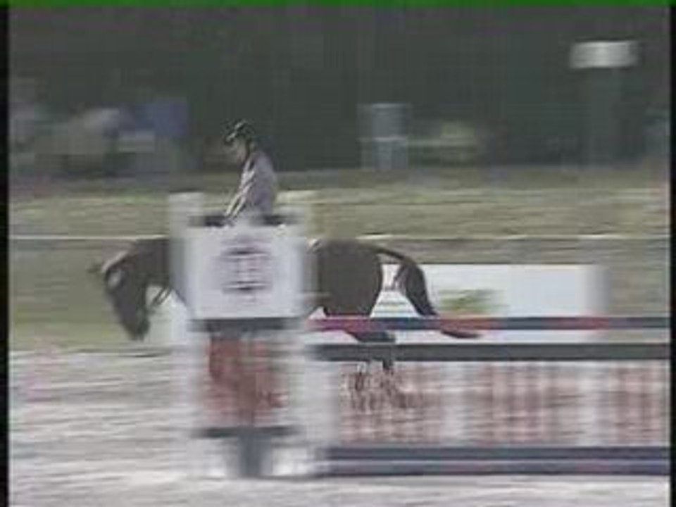 Ouessan de Viève CIR 2