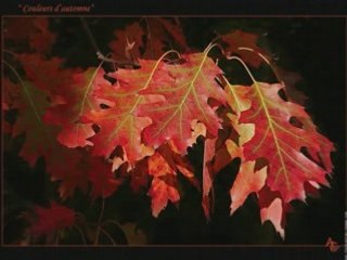 First of autumn Enya