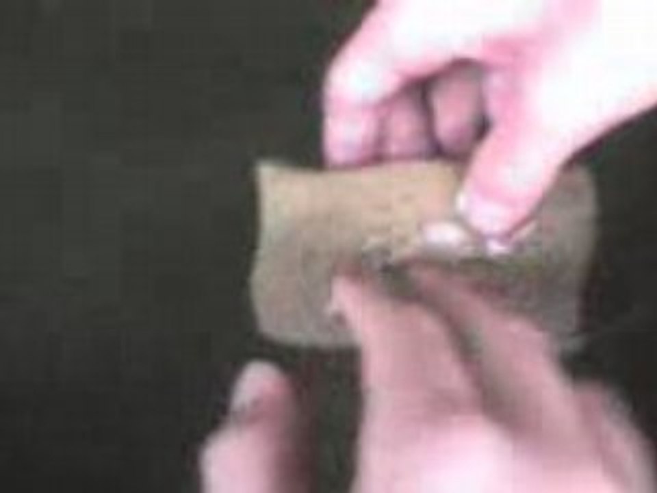 on a retrouver bob l'eponge