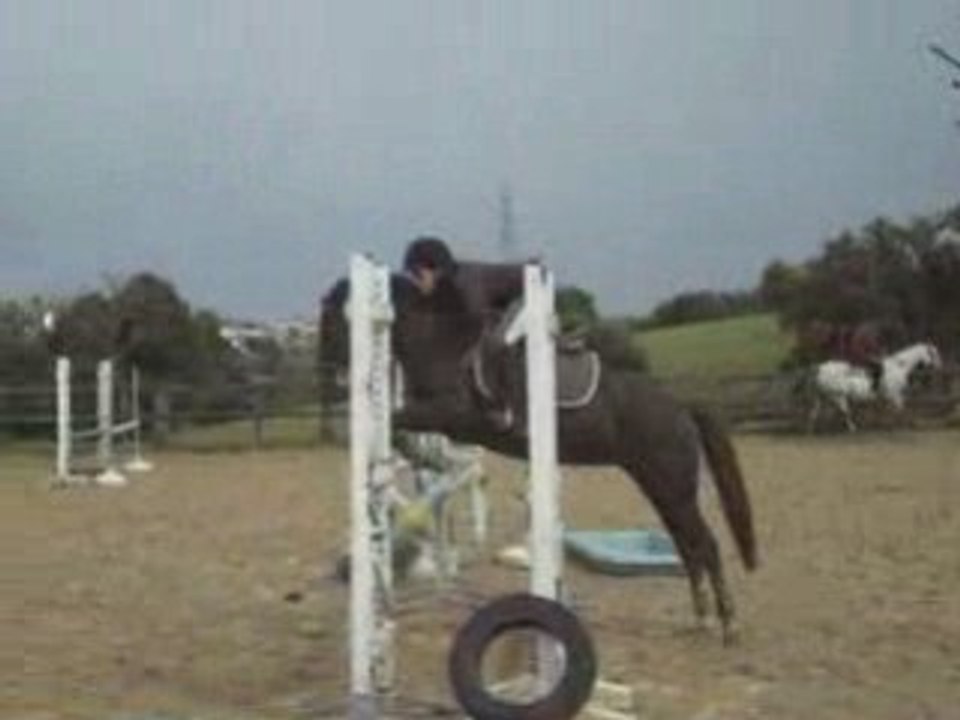 Léa = Quel est son galop ?? =P