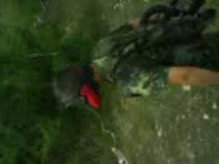 progression  vers maison tero ac le ptit loui...