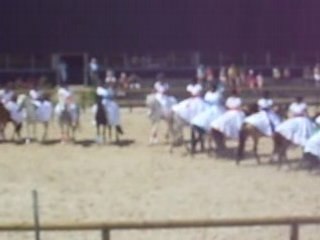 Carrousel du club hippique niortais sur le costa rica