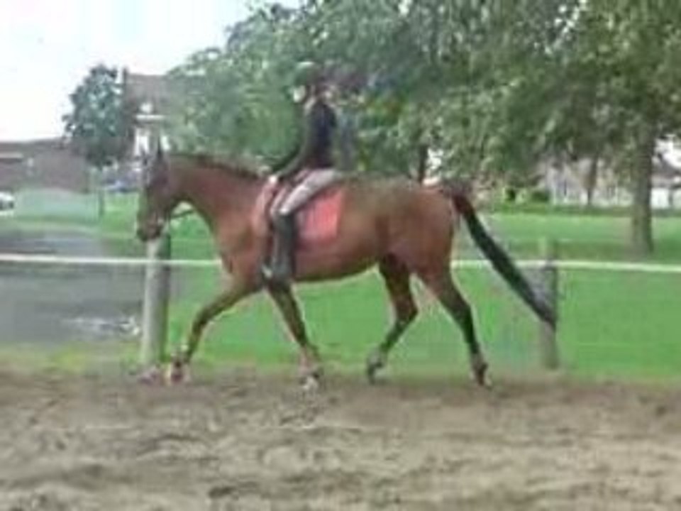 V060908_16.28