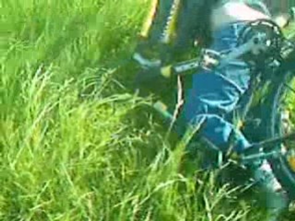 Bryan crash