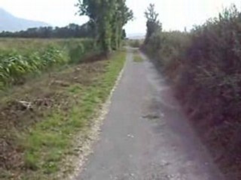 louloute sur les cailloux