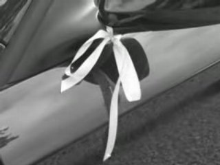 Vodas de Prata de Maricarmen e Manolo (Oscos - Asturias)