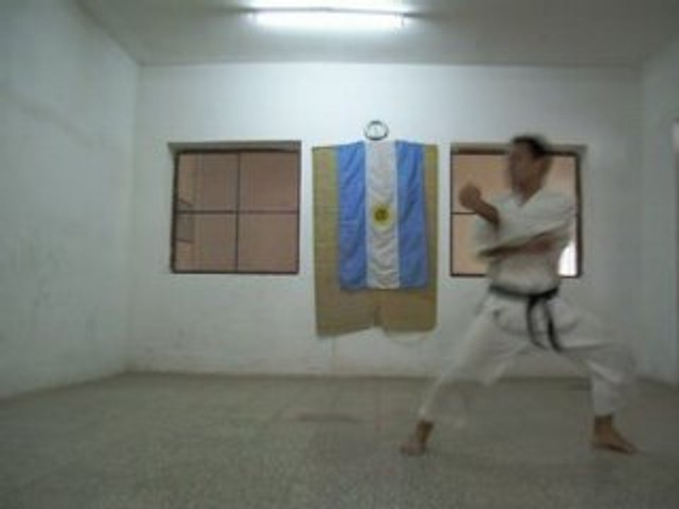 kata tekki shodan karate shotokan