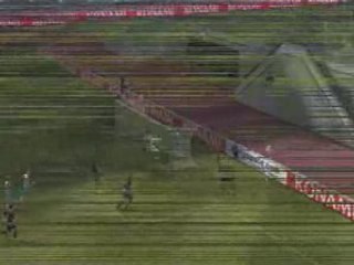 Wolves 1 x 0 Lions