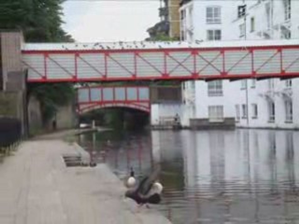 Canal Grand Union London