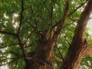 L'Arbre miracle Documentaire 1/5