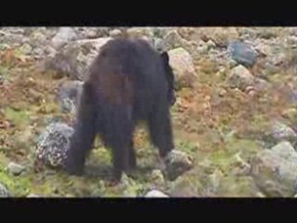 Usa part3A MPEG1