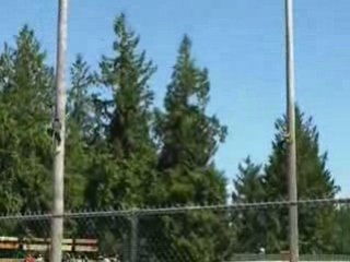 Tree Climbing Championships