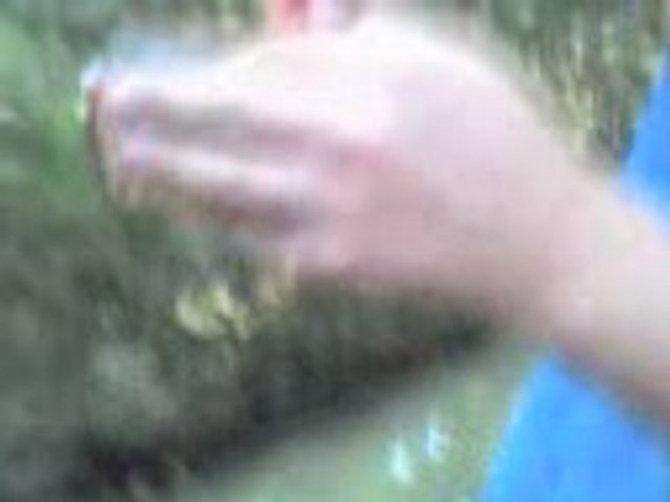 Vidéo 0176