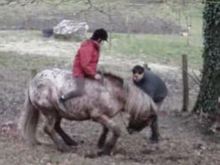 Le cheval c'est trop génial