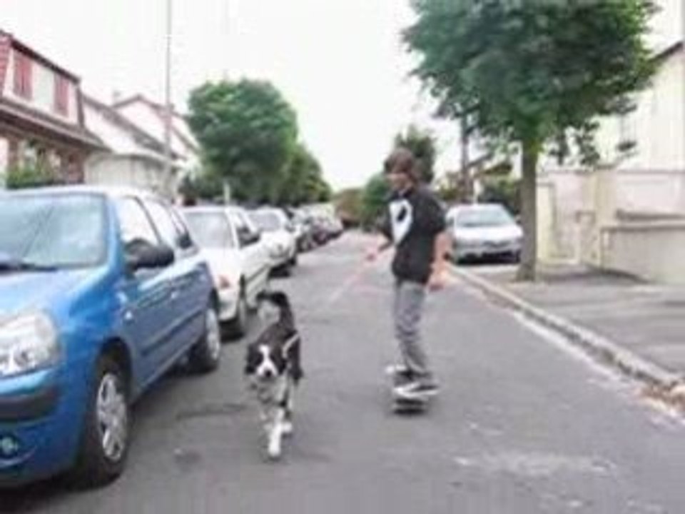 Skate dog