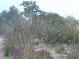 Moto-cross didou33450 part3