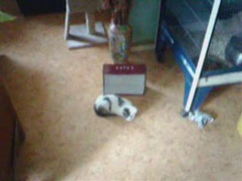 Les plus beaux arrêts