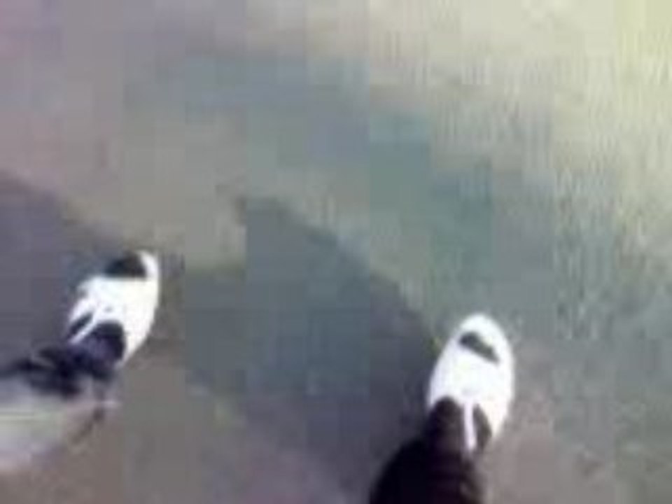 MOV00004