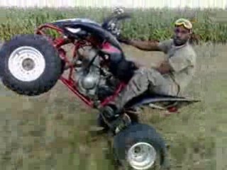 deska 350 raptor ep2