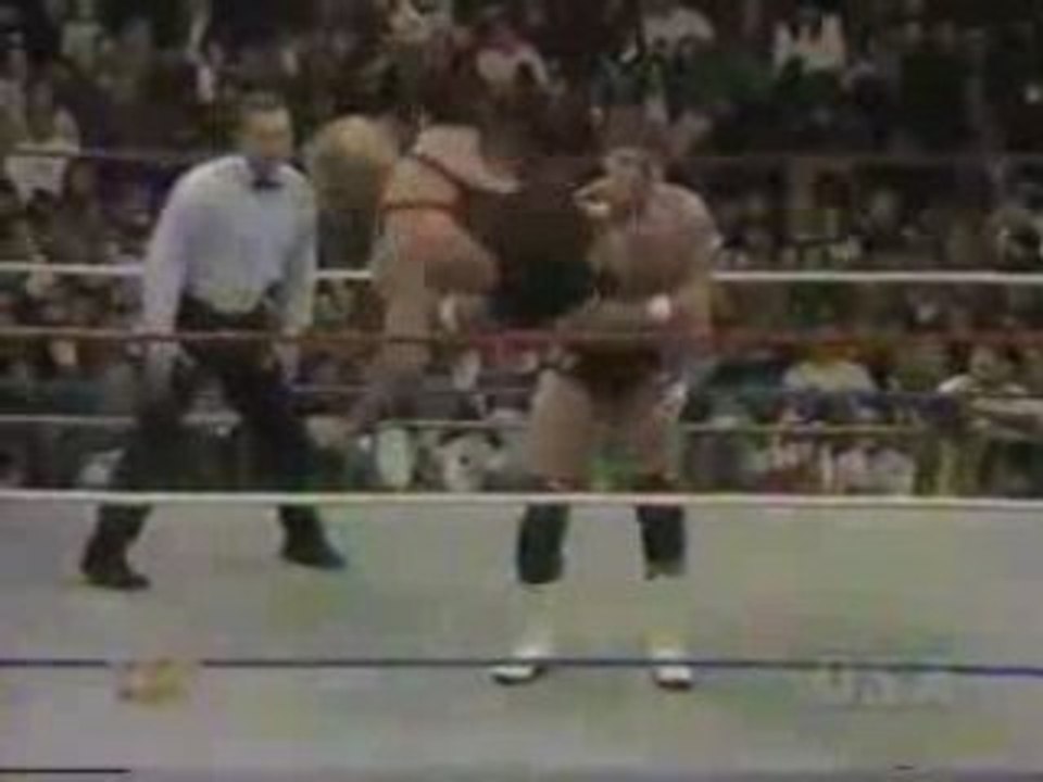 Owen Hart in action