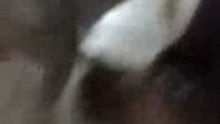 White kitty